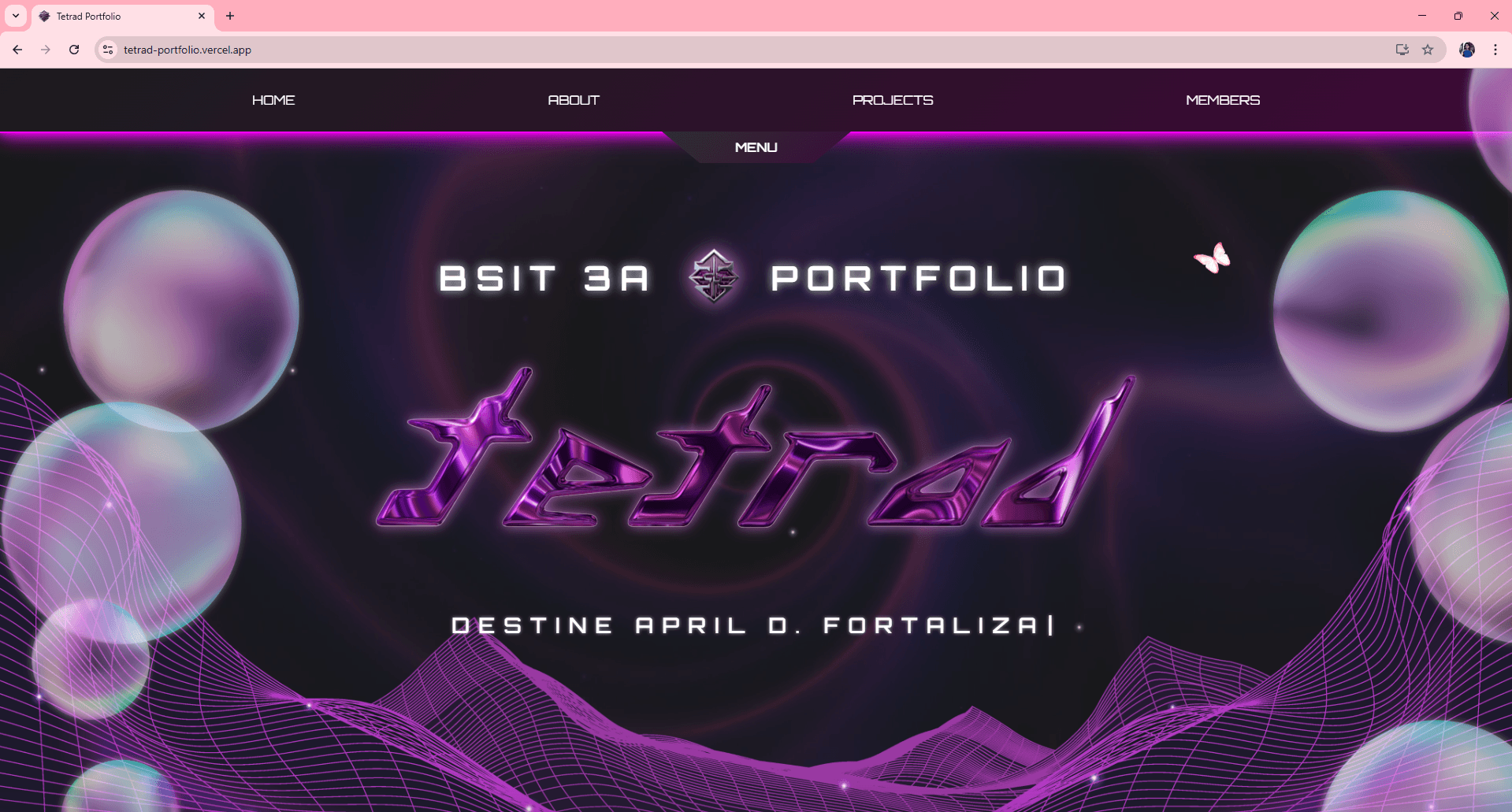 Tetrad Interactive Group Portfolio - image 1